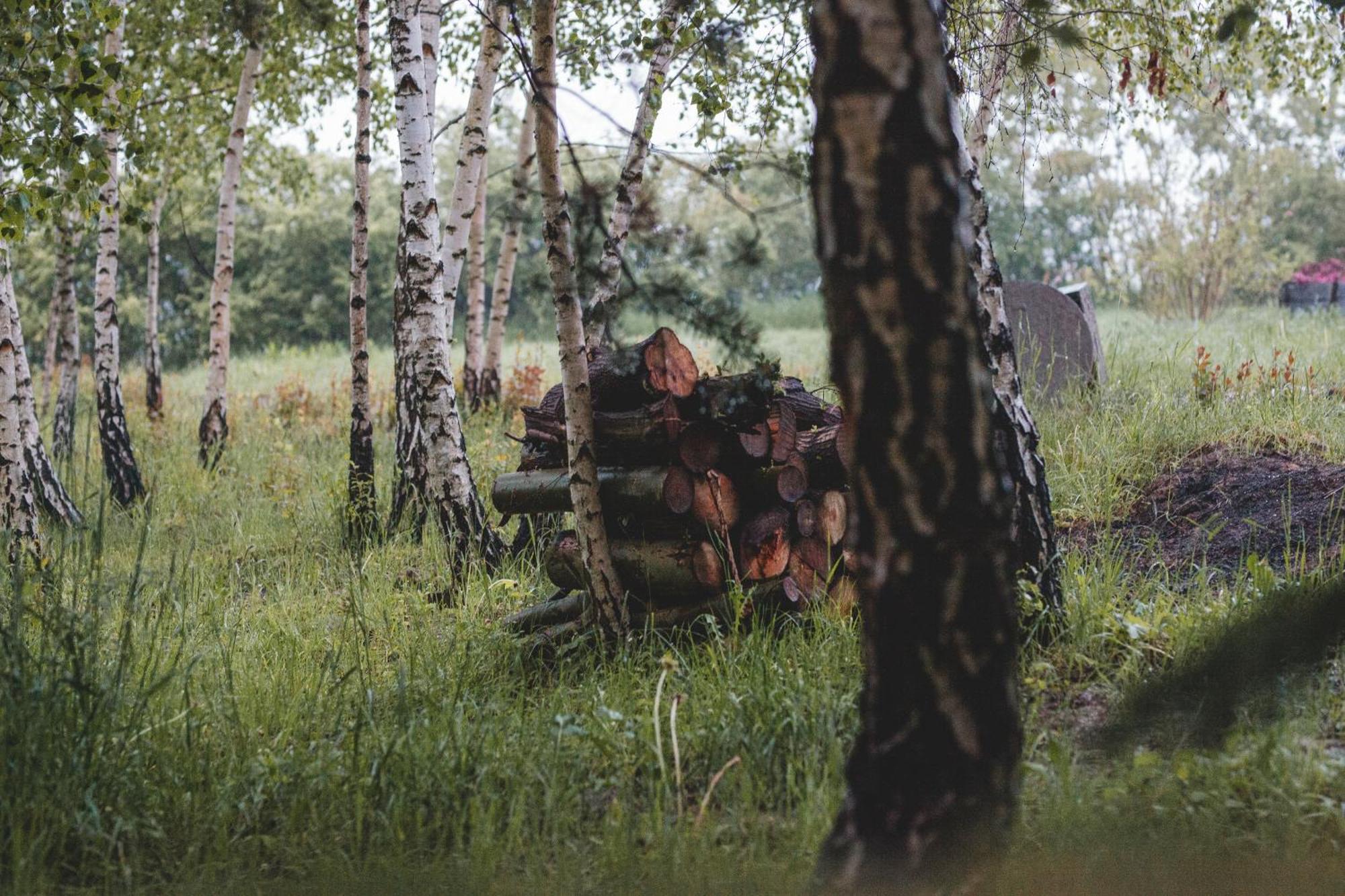 Domki na Górniej Łące - Domek Słowik Lazany Exterior foto