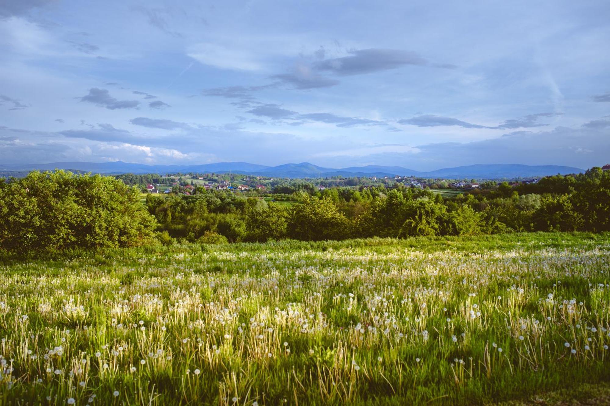 Domki na Górniej Łące - Domek Słowik Lazany Exterior foto