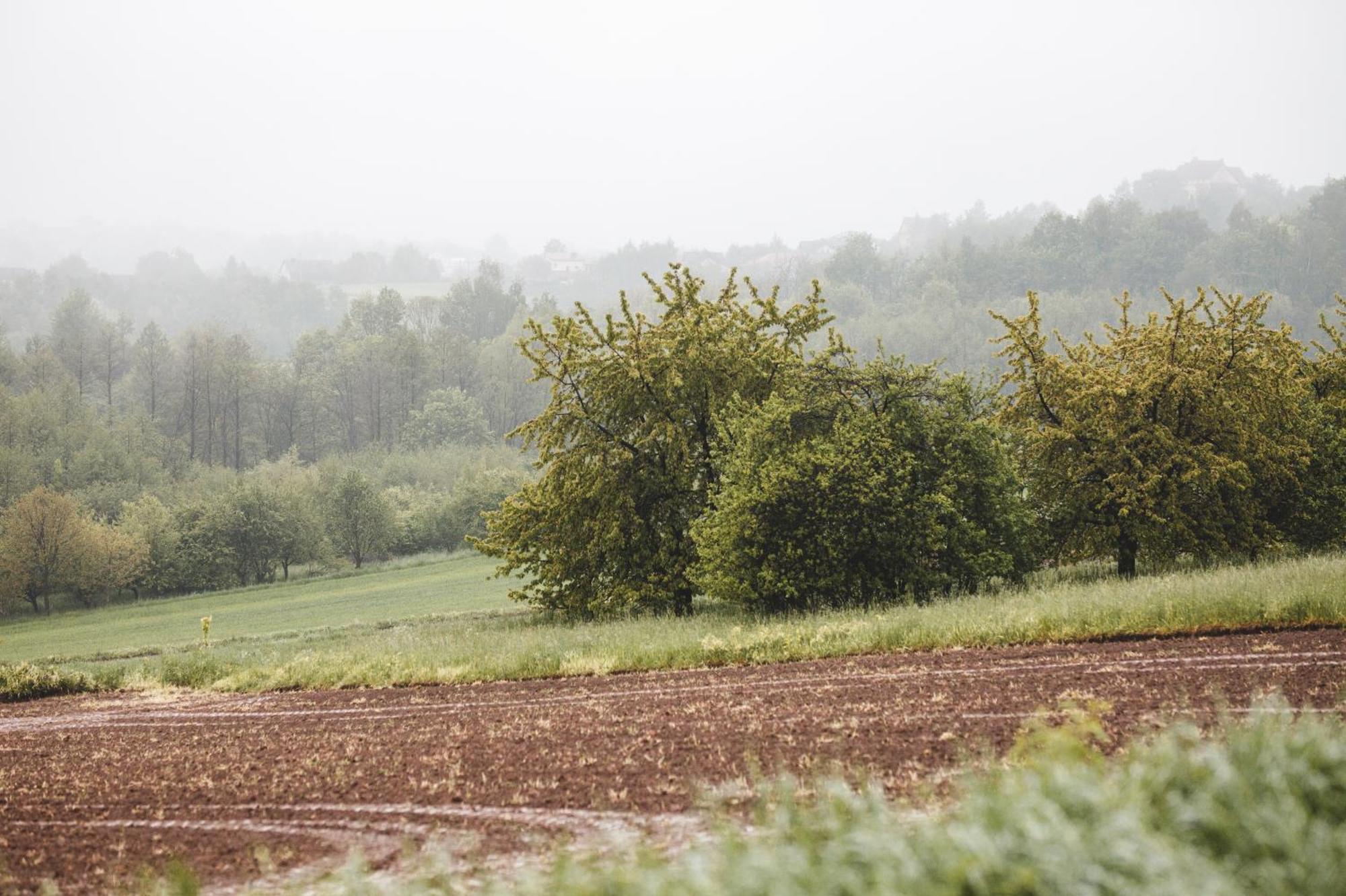 Domki na Górniej Łące - Domek Słowik Lazany Exterior foto