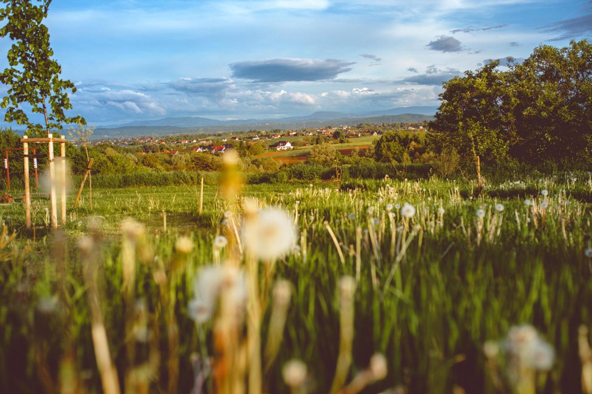 Domki na Górniej Łące - Domek Słowik Lazany Exterior foto