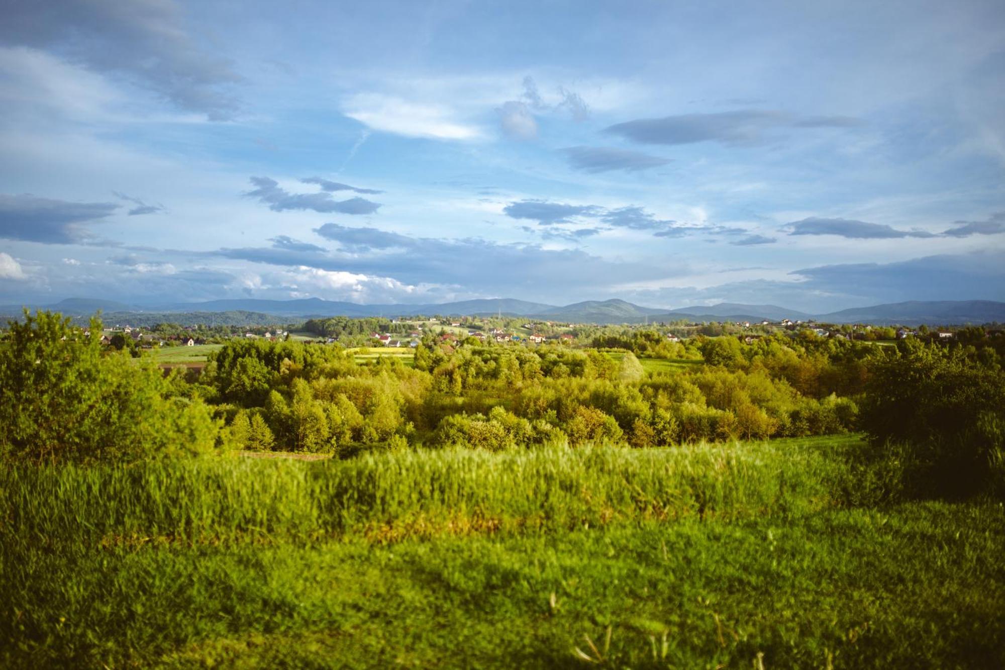 Domki na Górniej Łące - Domek Słowik Lazany Exterior foto