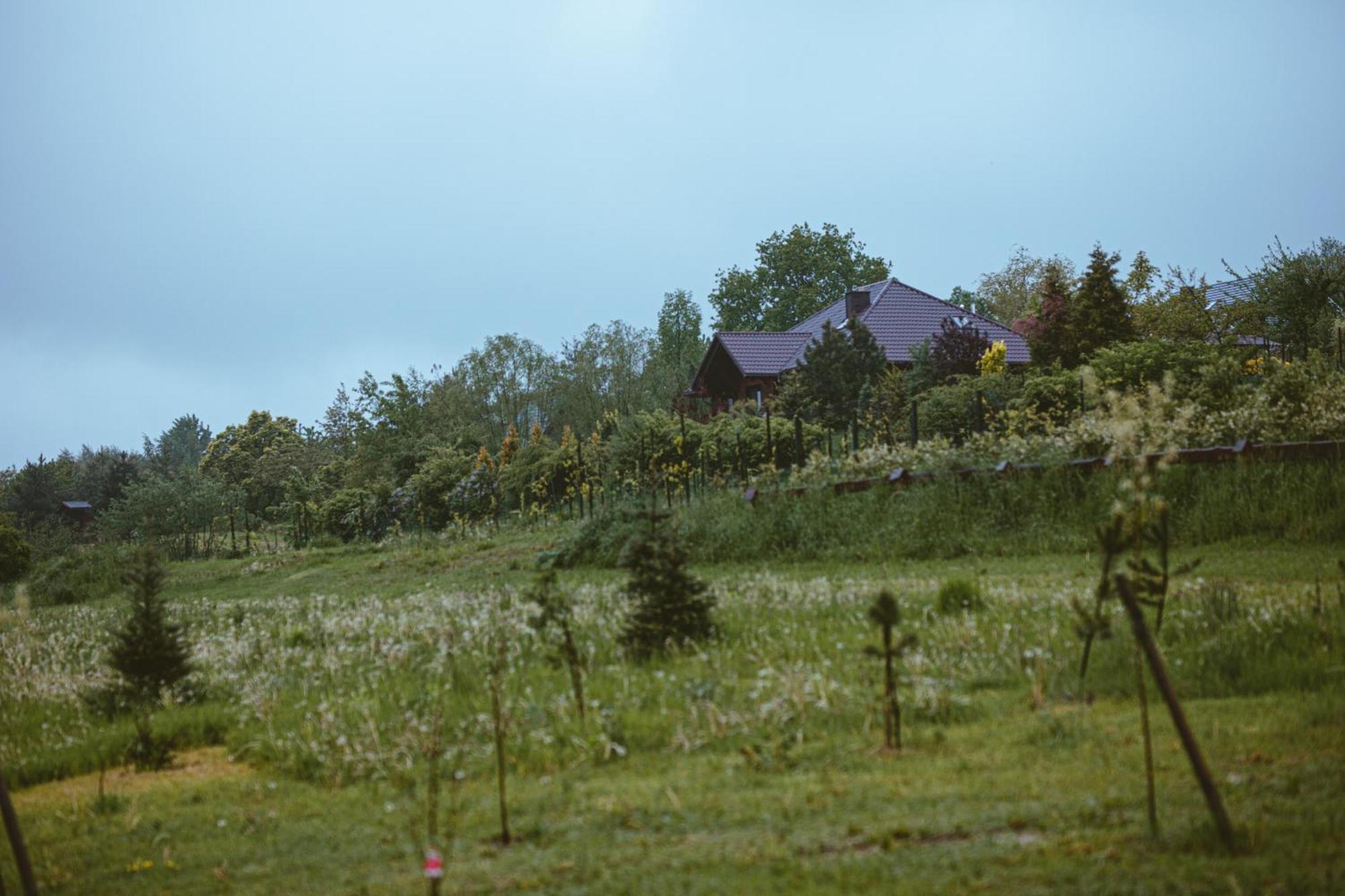 Domki na Górniej Łące - Domek Słowik Lazany Exterior foto