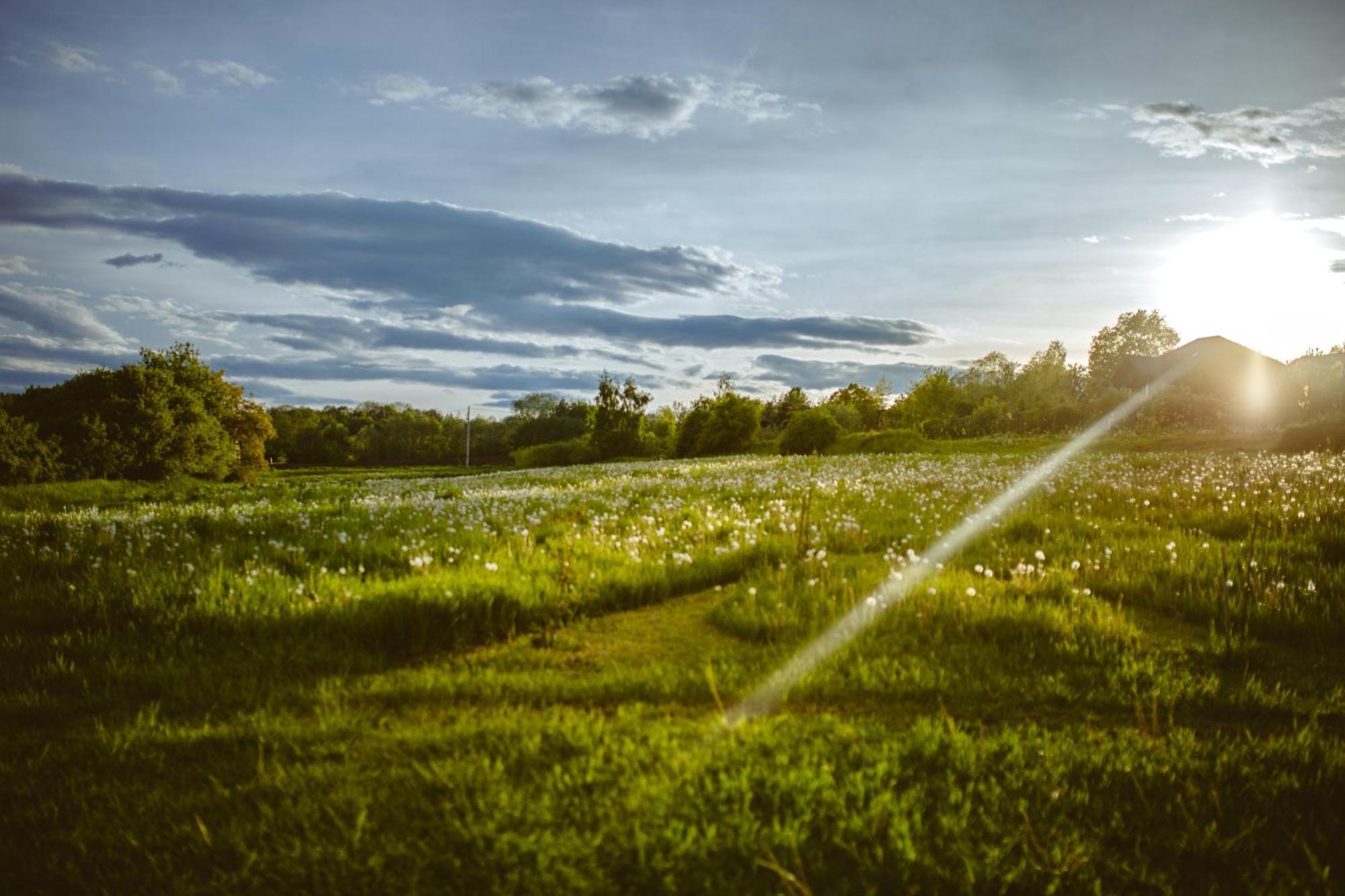Domki na Górniej Łące - Domek Słowik Lazany Exterior foto